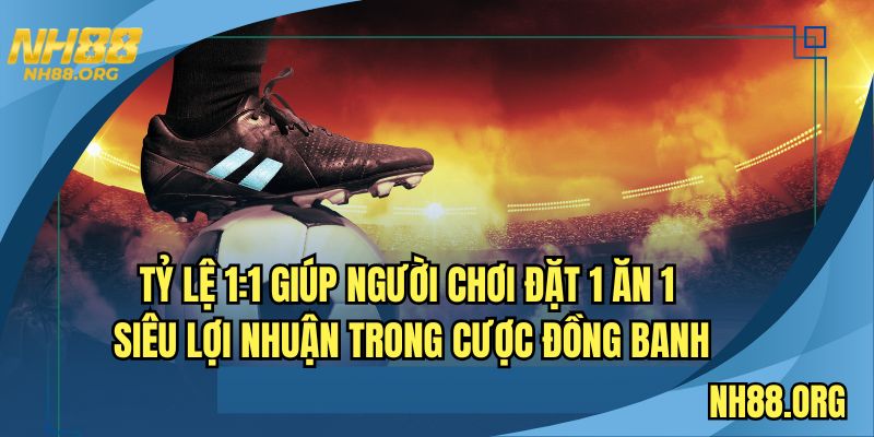 Tỷ lệ 1:1 giúp người chơi đặt 1 ăn 1 siêu lợi nhuận trong cược đồng banh