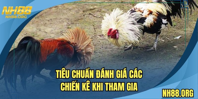 Tiêu chuẩn đánh giá các chiến kê khi tham gia