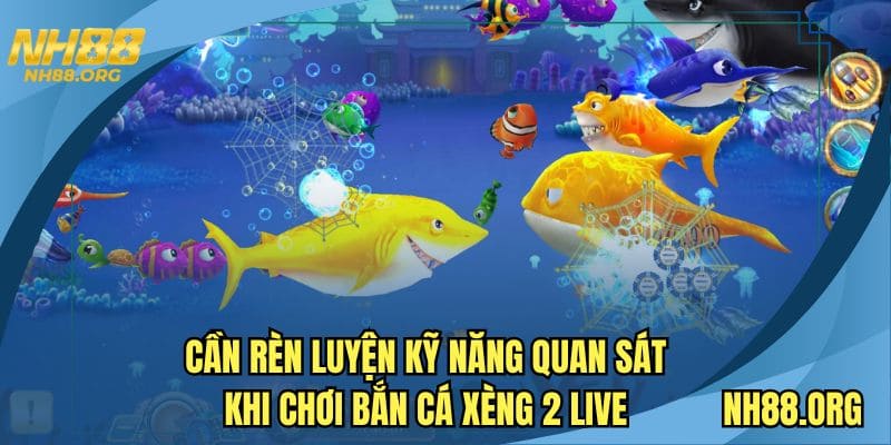 Cần rèn luyện kỹ năng quan sát khi chơi bắn cá xèng 2 live